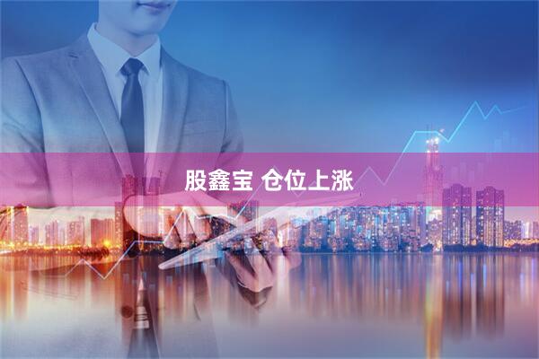 股鑫宝 仓位上涨