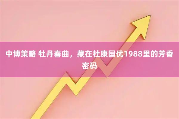 中博策略 牡丹春曲,藏在杜康国优1988里的芳香密码