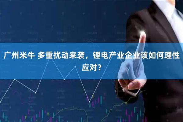广州米牛 多重扰动来袭，锂电产业企业该如何理性应对？