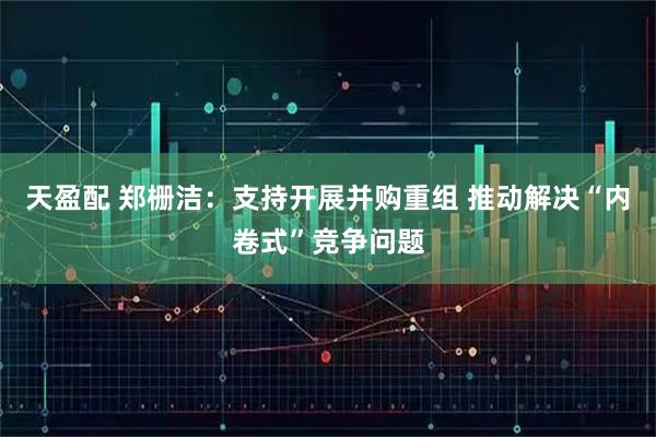 天盈配 郑栅洁：支持开展并购重组 推动解决“内卷式”竞争问题