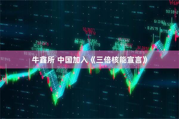 牛鑫所 中国加入《三倍核能宣言》
