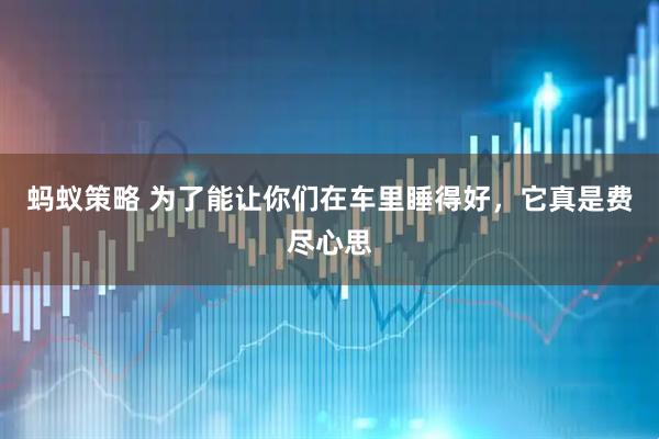 蚂蚁策略 为了能让你们在车里睡得好，它真是费尽心思