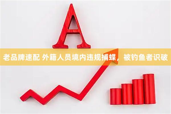 老品牌速配 外籍人员境内违规捕蝶，被钓鱼者识破