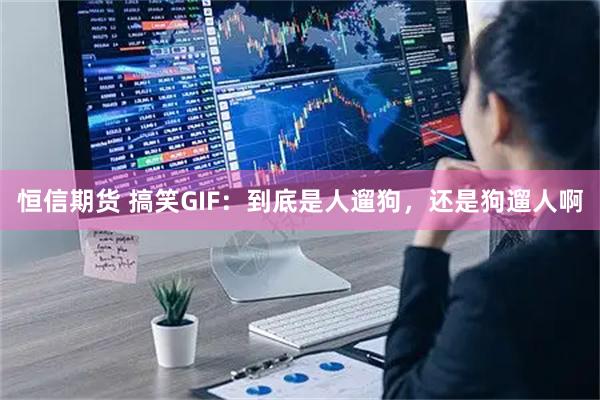 恒信期货 搞笑GIF：到底是人遛狗，还是狗遛人啊