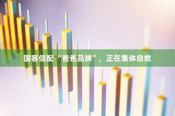 国客信配 “爸爸品牌”，正在集体自救