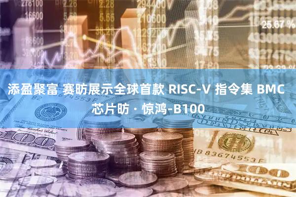添盈聚富 赛昉展示全球首款 RISC-V 指令集 BMC 芯片昉 · 惊鸿-B100
