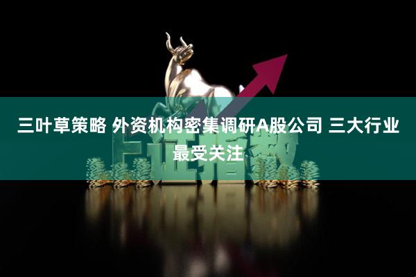 三叶草策略 外资机构密集调研A股公司 三大行业最受关注